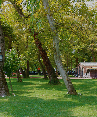 Richmond Hotels 57.png